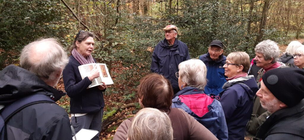 Fungi Hunt