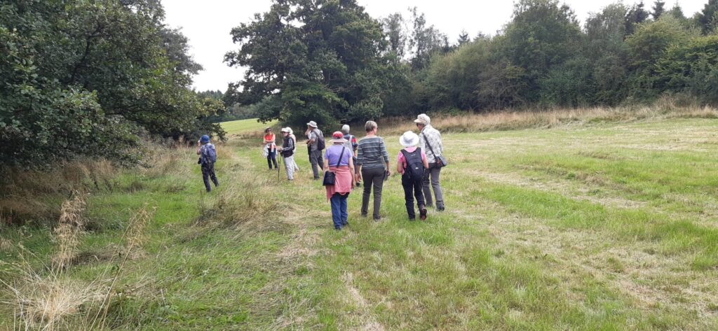 Exploring Lea Meadows